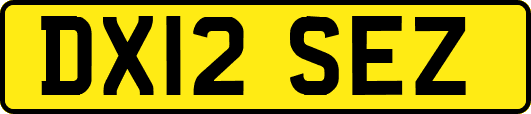 DX12SEZ
