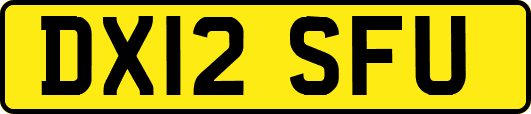 DX12SFU