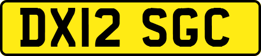 DX12SGC