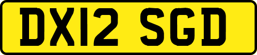 DX12SGD