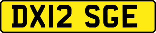 DX12SGE
