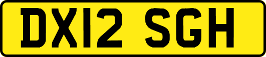 DX12SGH