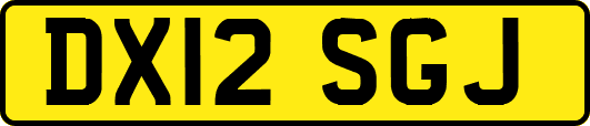 DX12SGJ