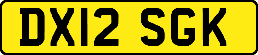 DX12SGK