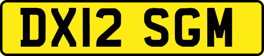 DX12SGM