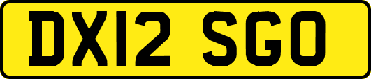 DX12SGO