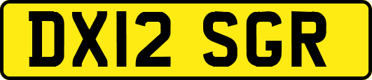 DX12SGR
