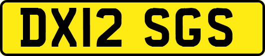 DX12SGS