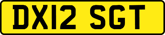 DX12SGT