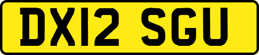 DX12SGU