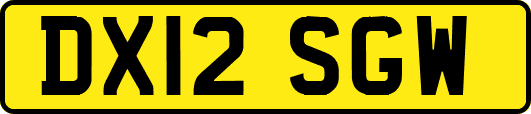 DX12SGW