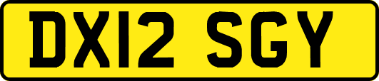 DX12SGY