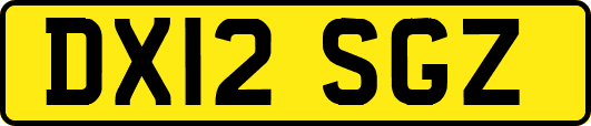 DX12SGZ