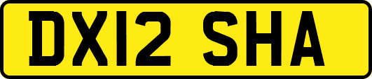 DX12SHA