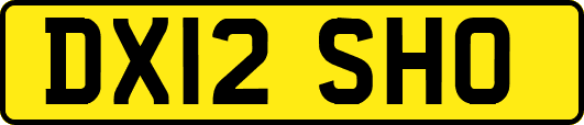 DX12SHO