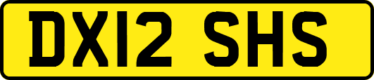 DX12SHS