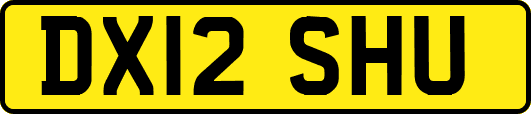 DX12SHU