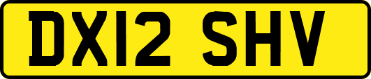 DX12SHV