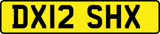 DX12SHX