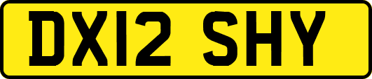 DX12SHY