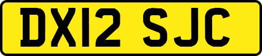 DX12SJC