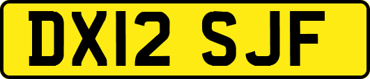 DX12SJF