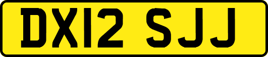 DX12SJJ