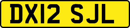 DX12SJL