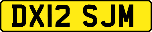 DX12SJM