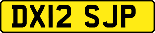 DX12SJP