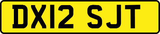 DX12SJT