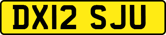 DX12SJU