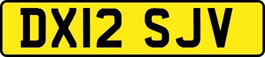 DX12SJV