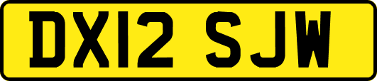 DX12SJW