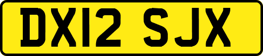 DX12SJX