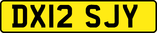 DX12SJY