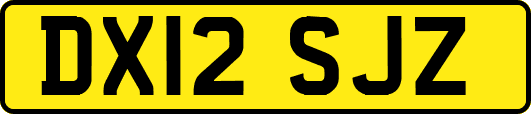 DX12SJZ