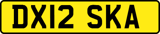 DX12SKA