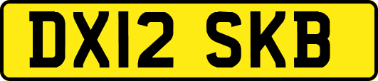 DX12SKB
