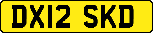 DX12SKD
