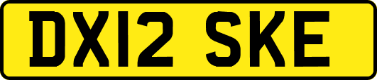 DX12SKE
