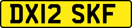DX12SKF