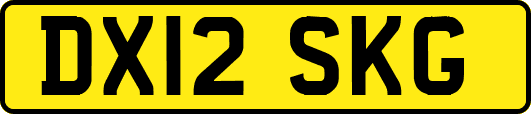 DX12SKG