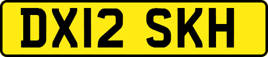 DX12SKH