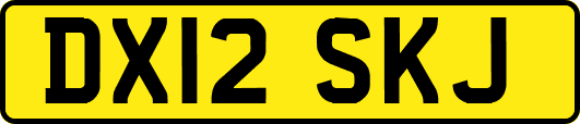 DX12SKJ