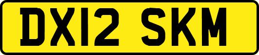 DX12SKM