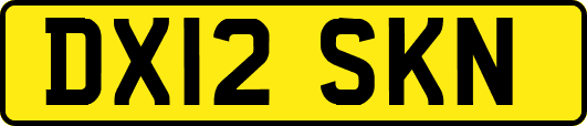 DX12SKN