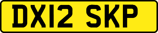 DX12SKP