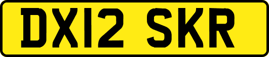 DX12SKR