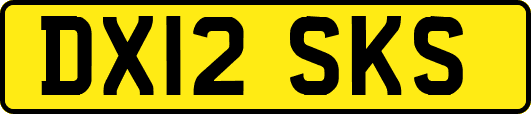 DX12SKS